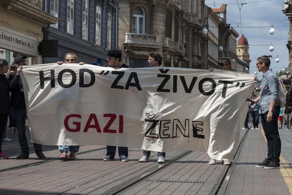 hzz_transparent.