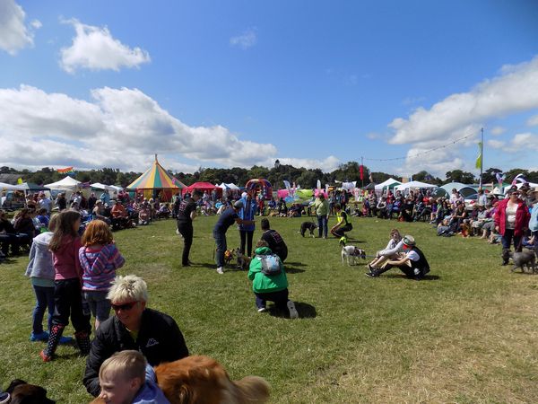 Dog show