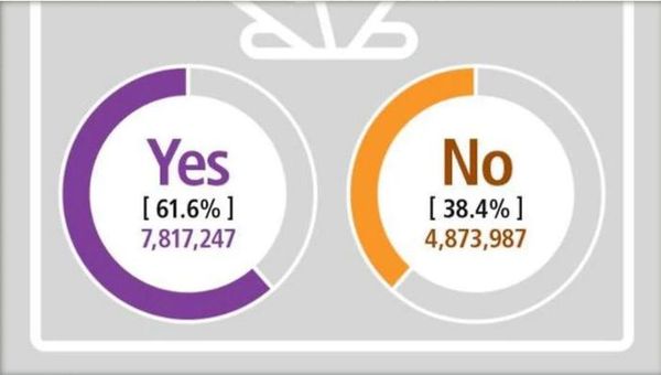 yes no