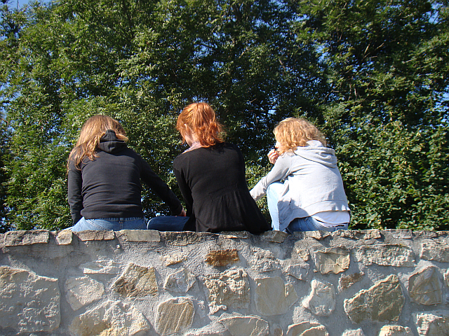 Foto: Wikimedia Commons/Silar